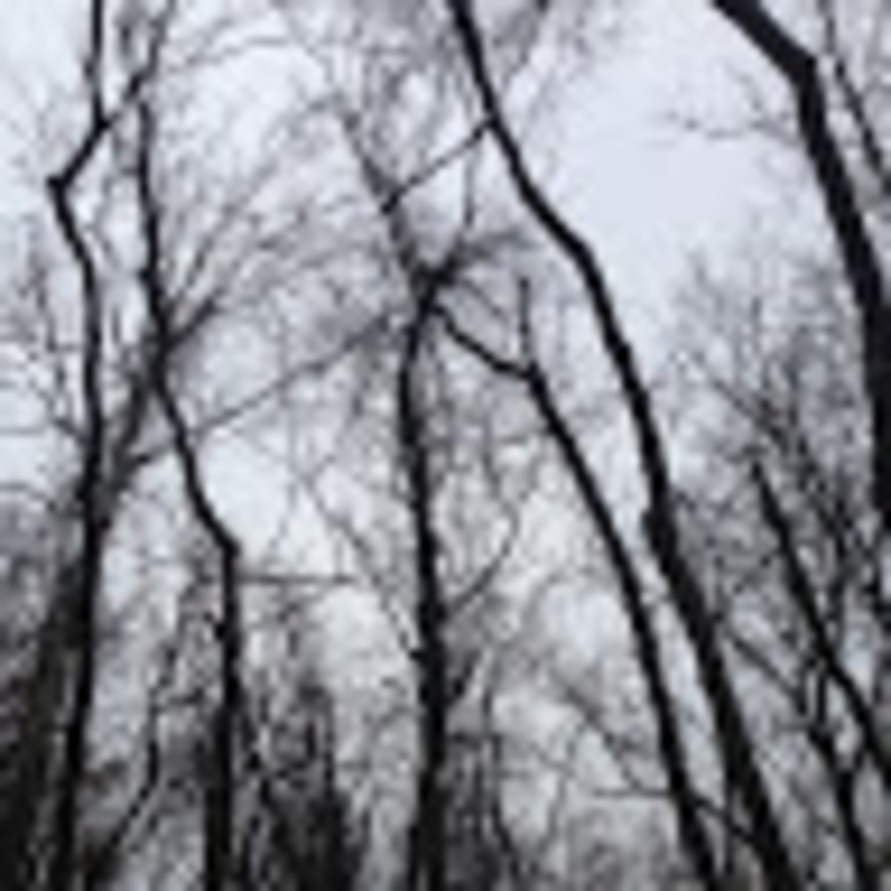 Meet your Posher, Arlen